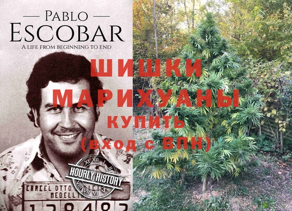 ECSTASY Сафоново