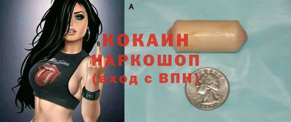 стаф Алзамай