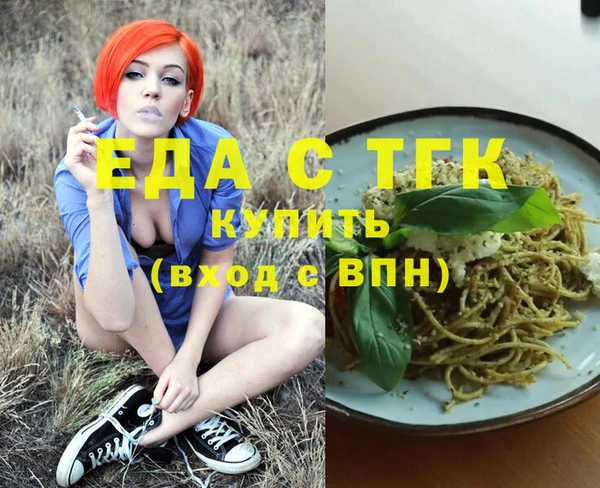стаф Алзамай