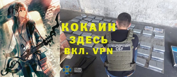 стаф Алзамай