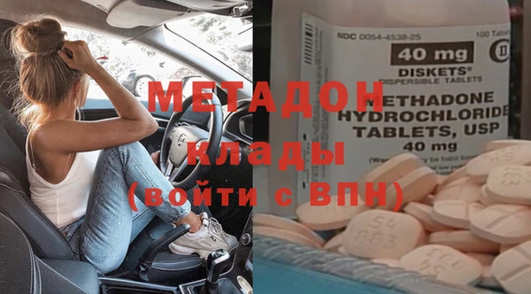 стаф Алзамай