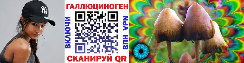 наркота Клин Галлюциногенные грибы мицелий
